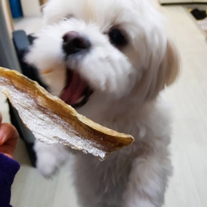 엄마가준생선,동해형씨 원물건조 대구 40g 강아지 수제간식